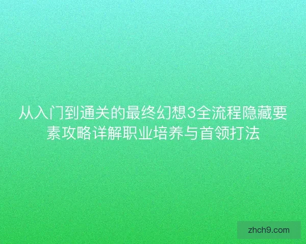 从入门到通关的最终幻想3全流程隐藏要素攻略详解职业培养与首领打法
