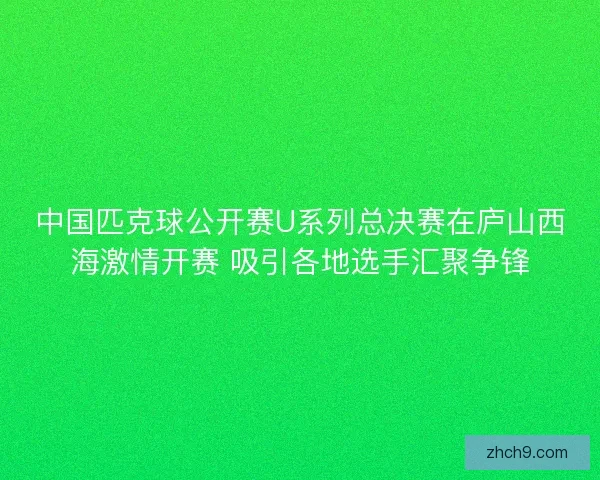 中国匹克球公开赛U系列总决赛在庐山西海激情开赛 吸引各地选手汇聚争锋